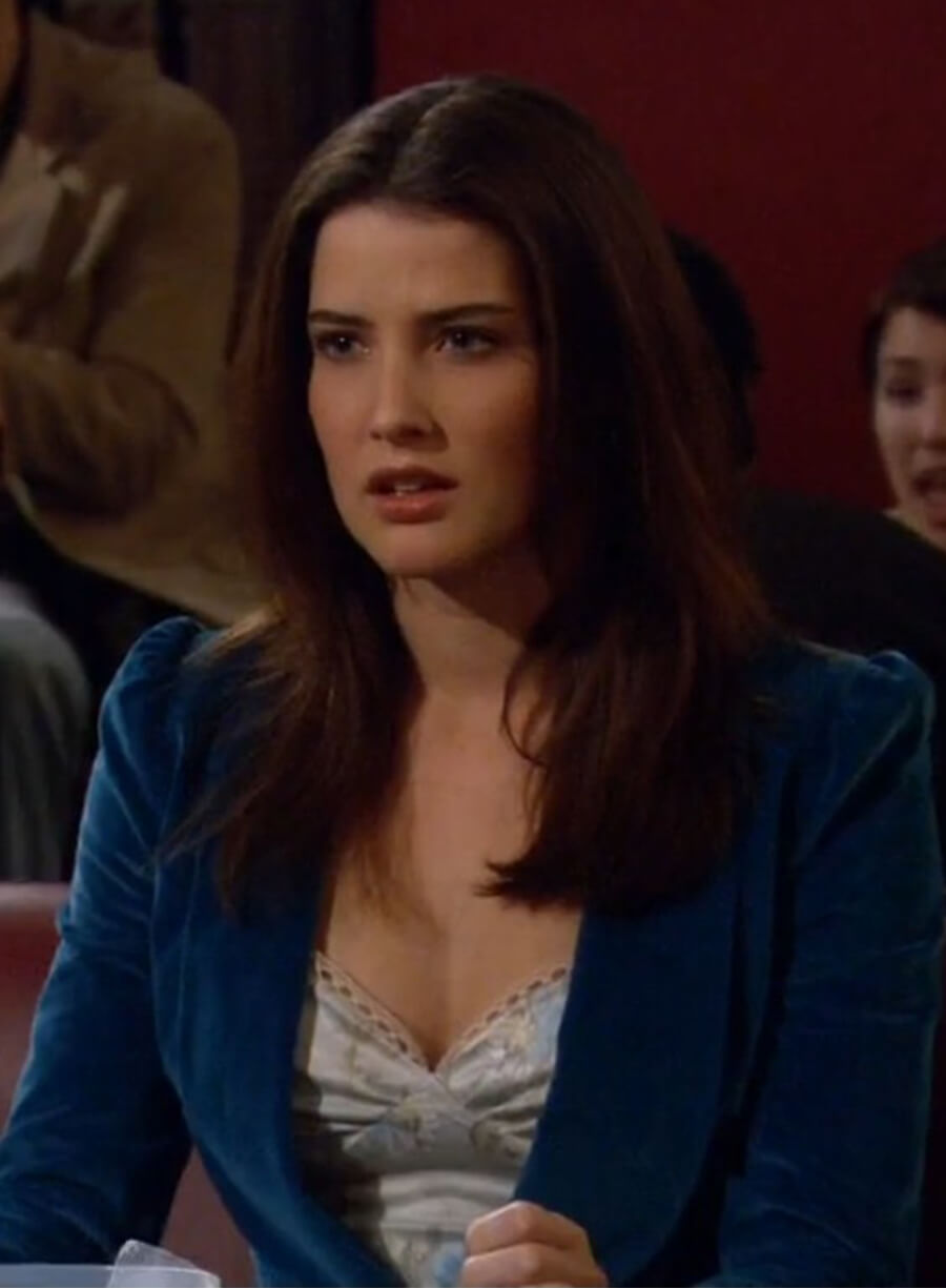 Robin Scherbatsky How I Met Your Mother Blue Velvet Blazer