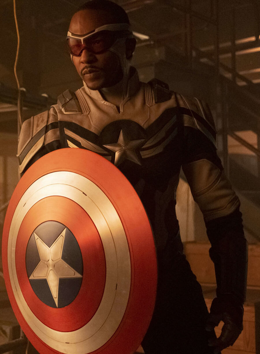 Sam Wilson The Falcon and the Winter Soldier Jacket Cosume